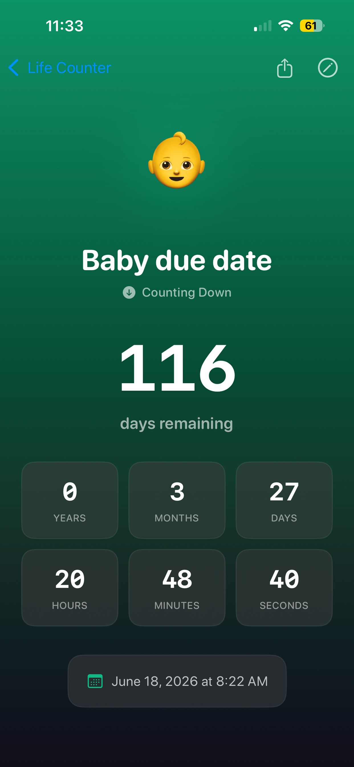 Life Counter Screenshot 2